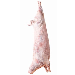 Wholesale Frozen Lamb Meat Bulk Supply Vacuum Packed Halal Certified Supplier - Product Image 2