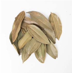 ใบอบเชยอบแห้งคุณภาพสูงสำหรับเครื่องเทศและกลิ่นหอม - Product Image 3