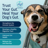 Vente en gros de probiotiques riches en protéines pour chiens + friandises prébiotiques pour chiens contre les allergies, améliorent la digestion, soutiennent l'immunité, soulagent la diarrhée, enzymes digestives