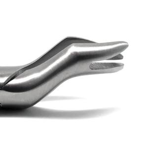 Juego de Instrumentos Quirúrgicos Dentales de Acero Inoxidable de Alta Calidad con Certificación CE, Fórceps para Extracción de Dientes, para Uso Clínico - Product Image 5