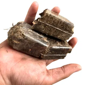 Wholesale Best Prices Sugarcane leave Cube Activated Carbon Biomass Agriculture Residues Earth Friendly From Thailand