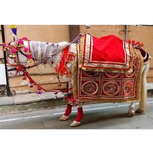 Traje de caballo bordado para boda india Traje de caballo decorado para boda hindú Traje de caballo bordado para boda india Traje de caballo bordado - Product Image 6