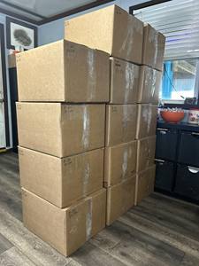 Camarones Blancos Congelados IQF de Alta Calidad en Venta - Product Image 6