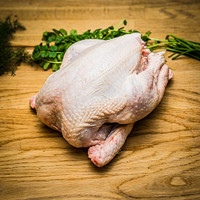 Poulet entier congelé IQF biologique de haute qualité, certifié Halal, enrichi en vitamines, faible en gras, qualité supérieure, grade A, en gros