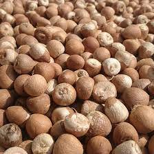 Noci di <span class=keywords><strong>Betel</strong></span> di Qualità Premium (Noci Areca/Supari), Noci di <span class=keywords><strong>Betel</strong></span> Crude e Lavorate per Masticare e Uso Alimentare, Fresche di Fattoria dall'India in Vendita - Product Image 2