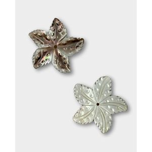 Cuentas Sueltas de Concha de Estrella de Mar Negra - Product Image 1