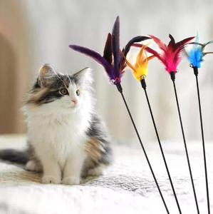 Jouet pour animaux de compagnie rétractable bleu royal, bâton en bois amusant, baguette interactive pour chat, jouet à plumes de poulet pour <span class=keywords><strong>jeu</strong></span> en intérieur - Product Image 3