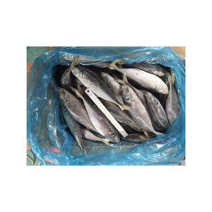 ปลาแมคเคอเรลทั้งลูกแบบพรีเมี่ยม iqf แช่แข็ง - Product Image 1