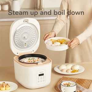 Cuisinière à riz coréenne multifonctionnelle, économique et compacte, 110V 220V - Product Image 2
