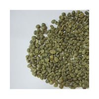 Granos de café verde al por mayor: exportador líder de Vietnam de Arábica orgánica premium y robusta con prácticas sostenibles