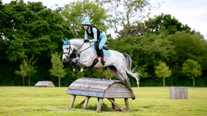 Vente en gros de tapis de selle anglais de qualité supérieure construction durable doublure en tissu doux respirant matelassé design léger confortable - Product Image 3