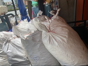 Proveedor al por Mayor de Conchas Marinas en Vietnam - Concha de Operculum de Murex y Otras Conchas Marinas para Hacer Perfume 99GD - Product Image 6