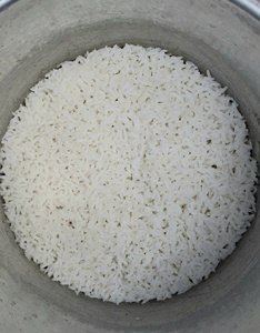 Japonica vietnamien jasmin riz long grain Style frais importation de Jersey OO84825431311 pour l'Europe - Product Image 3