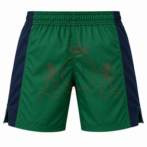 Shorts de MMA modernes pour hommes, en tissu extensible, confortables pour l'entraînement, fabricant de vêtements personnalisés, shorts de MMA - Product Image 2