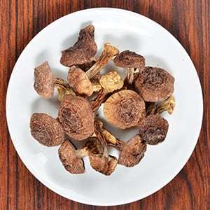 Agaricus-seta blazei seca, la mejor calidad, de Vietnam - Product Image 2