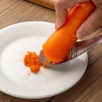 Râpe manuelle en acier inoxydable pour ail, gingembre, fruits et légumes, avec cuillère intégrée