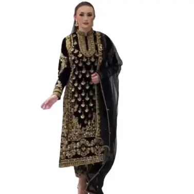 Pakistani Churidar Salwar Kameez / Pakistani Punjabi Salwar Kameez Designs / Pakistani Dress Design Salwar Kameez Top and Bottom