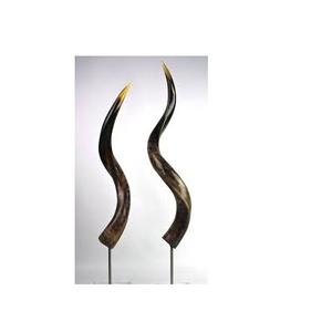 Paire de corne de buffle élégante pièces polies pièce décorative murale et corne de la meilleure qualité à un prix abordable - Product Image 5