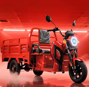 BEST OFFER OEM Industrial Grade Gasoline Motorized <b>Tricycle</b> Rickshaw/Bajaj/Auto Taxi Passenger <b>Tricycles</b> Tuk - Product Image 4