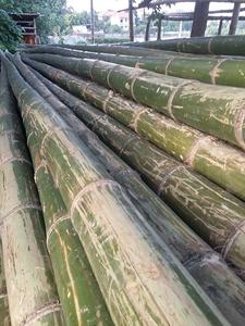 Postes de bambú tratado para paneles de pared interior y decoración exterior, producto natural sostenible de Vietnam - Product Image 2