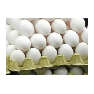 새로운 신선한 닭고기 계란 농장 계란, 우수한 품질의 흰색 껍질과 갈색 껍질에 테이블 계란