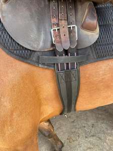 Circunferencia sintética de caballo Preto para sillines Comfort Waffle Neopreno Equine Girth anti-Chafe elástico - Product Image 4