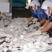 Huile de coco brute pour la production de biodiesel | Approvisionnement en gros au Vietnam