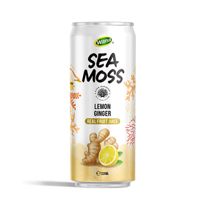 Musgo Marino Enlatado con Jugo de Frutas Tropicales y Minerales Saludables, Muestra Gratuita para Marca Privada OEM ODM - Product Image 3