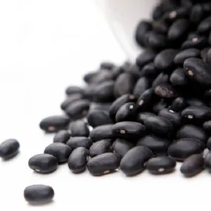 Top Qualität schwarze Bohnen zu verkaufen schwarze Nierenbohnen verfügbar bio-Schwarze Bohnen zu verkaufen