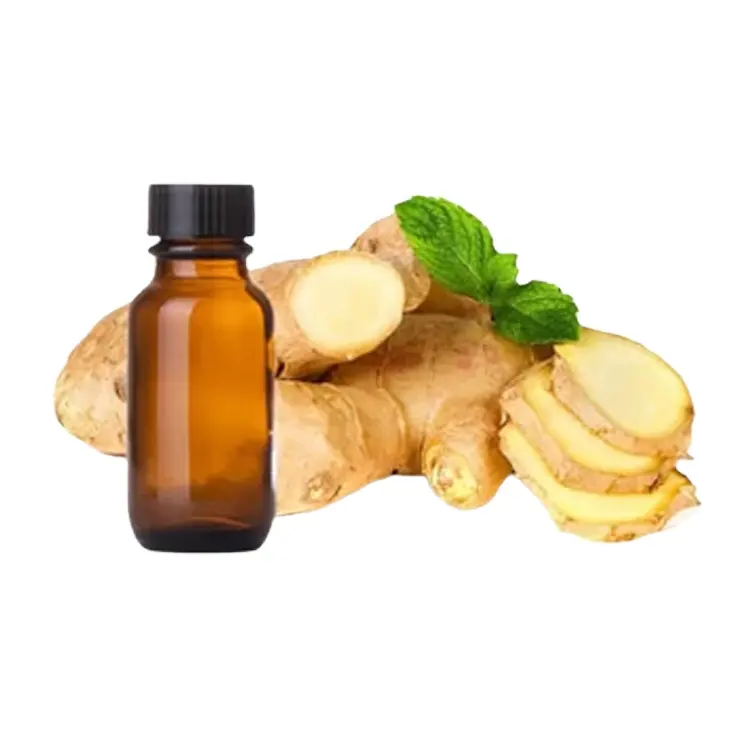 Trusted Bulk Exporter Supply Custom Label Natural 100% Pure Ginger Essential Oil for Global Buyers