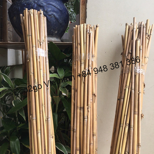 Postes de bambú 100% naturales: tamaños personalizados flexibles de 2-20m de longitud para agricultura Eco2go Vietnam - Product Image 6