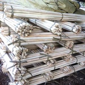 Venta al por Mayor de Ratán Natural de 1.5mm a 35mm de Diámetro, Calamus Tetradactylus Hance, Ratán Vietnamita para Artesanías, Núcleo de Mimbre al por Mayor - Product Image 5