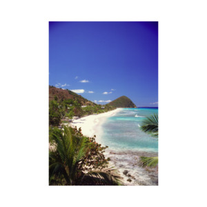 ¡Oferta a precios inmejorables! Grandes cantidades de troncos de Haya para la creación de estructuras de madera Mejores precios disponibles - Product Image 3