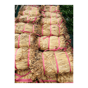 Jacinthe d'eau de matière première écologique pour la fabrication de paniers en tissage torsadé New Wave Box/Jacinthe d'eau à bas prix de haute qualité - Product Image 1