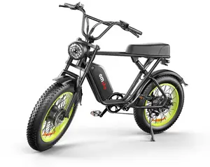 Vélo électrique en stock prêt à l'emploi, vélo électrique à gros pneus, fatbike adulte 750W, 20 pouces, acier, 48V, C91, 20 Ah, 1000W