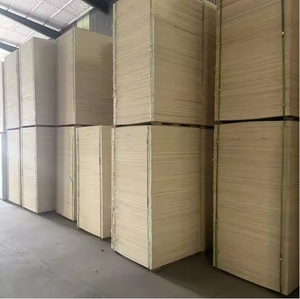 Contreplaqué de qualité DD à revêtement phénolique, vente chaude, provenant d'une usine vietnamienne, placage de bouleau pour meubles et construction - Product Image 5