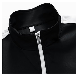 Survêtements pour hommes 2 pièces Survêtements pour hommes Survêtements à manches longues Athlétique Full Zip Active Sports Sets - Product Image 5