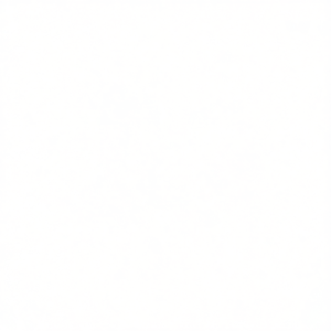 Cono de Encendido Flytech de 17 mm y 1.9 kg para Motocicletas GS 150, Sistemas Eléctricos y de Encendido - Product Image 2