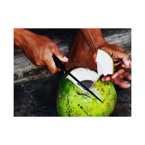 Alta oferta de turba-Coco semidescascarillada de VEU Excelente precio - Product Image 5