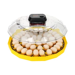 New Upgrade Dc Ac Power 48 Eggs Hatcher Automatic Hatching Machine Chicken Eggs Incubators For Farming