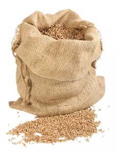 Grains de blé/grains de blé tendre biologiques entiers de meilleure qualité en vrac/grains de blé de qualité supérieure avec 100% pur en sacs de 25 et 50kg - Product Image 3