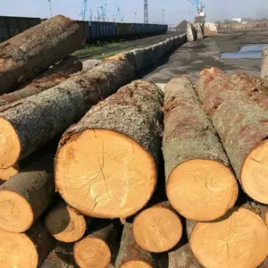 Vente en gros Types de cygne de bois de Sapele traité Bois de teck-bûches rondes, bois de pin tout rose Vente Noir Jaune Vert Waterpr