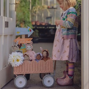 Panier de rangement Wonder Wagon multifonctionnel moderne et écologique en rotin - Product Image 5