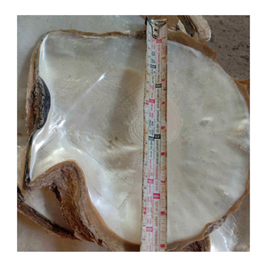 Premium Nacre Vietnam Nacre Shell Tranches Pour Meubles Incrustation Bijoux Accessoires Artisanat Décoration - Product Image 2