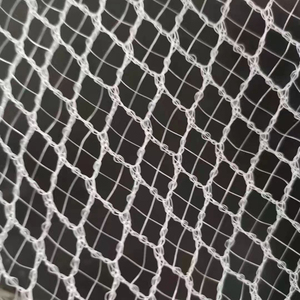 Giá thấp nhất 100% HDPE nông nghiệp bảo vệ cây ăn quả 60gsm chống mưa đá <span class=keywords><strong>Net</strong></span> - Product Image 3