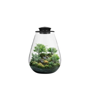 Terrarium en verre de bureau avec lumière de croissance 6,7 x 8,7 pouces Verre borosilicate Plante pour succulentes Mousse Miniature Jardinage Paysage - Product Image 1