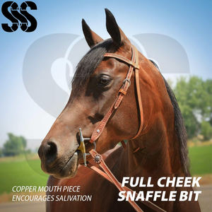 Bocados de Acero Inoxidable para Caballo, Tipo Full Cheek, Colores Personalizables, Duraderos, Antideslizantes, Suaves y Cómodos, Alta Calidad - Product Image 6