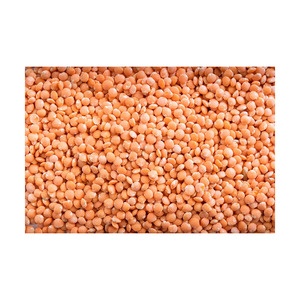 Proveedor de lentejas rojas al por mayor, distribución disponible a precio de descuento y suministro rápido - Product Image 3