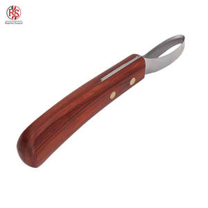 เครื่องตัดกีบม้าแบบมืออาชีพ ขนาด 10 นิ้ว สำหรับงานหนัก ผลิตจากเหล็กกล้าคาร์บอนสูง อุปกรณ์ตัดแต่งกีบม้า - Product Image 1