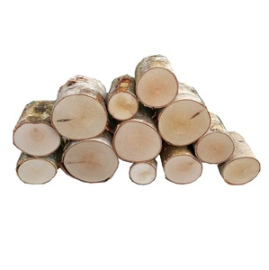 Gỗ tròn gỗ bạch dương sấy khô để xuất khẩu-Tuân thủ ispm 15 - Product Image 2